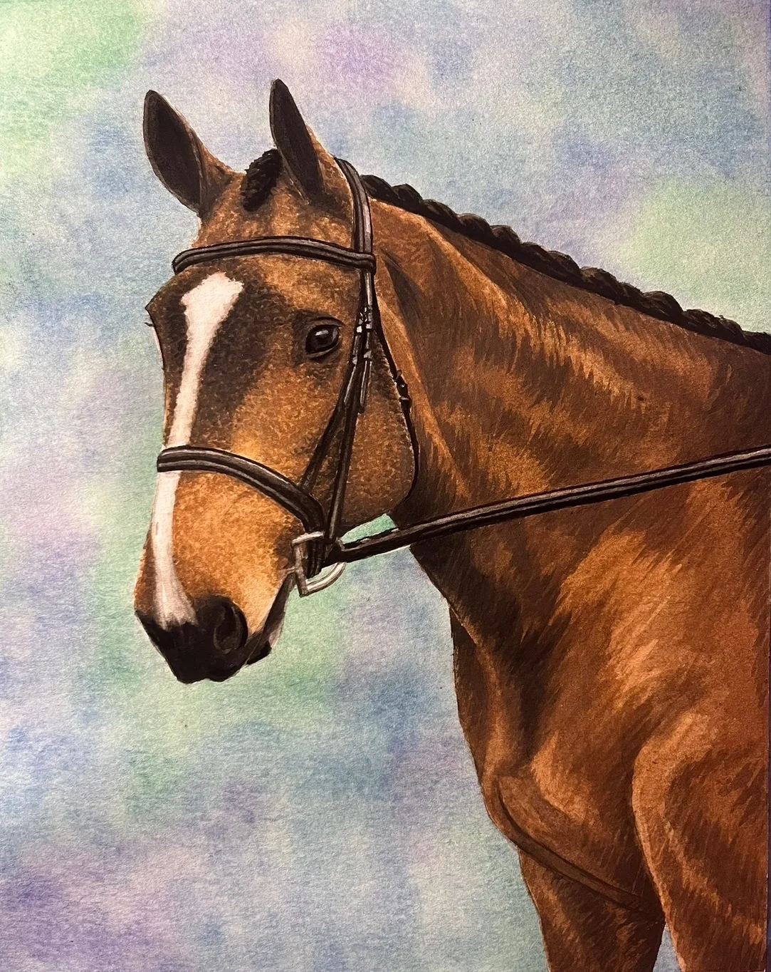 Animal portrait by Kari Koleva