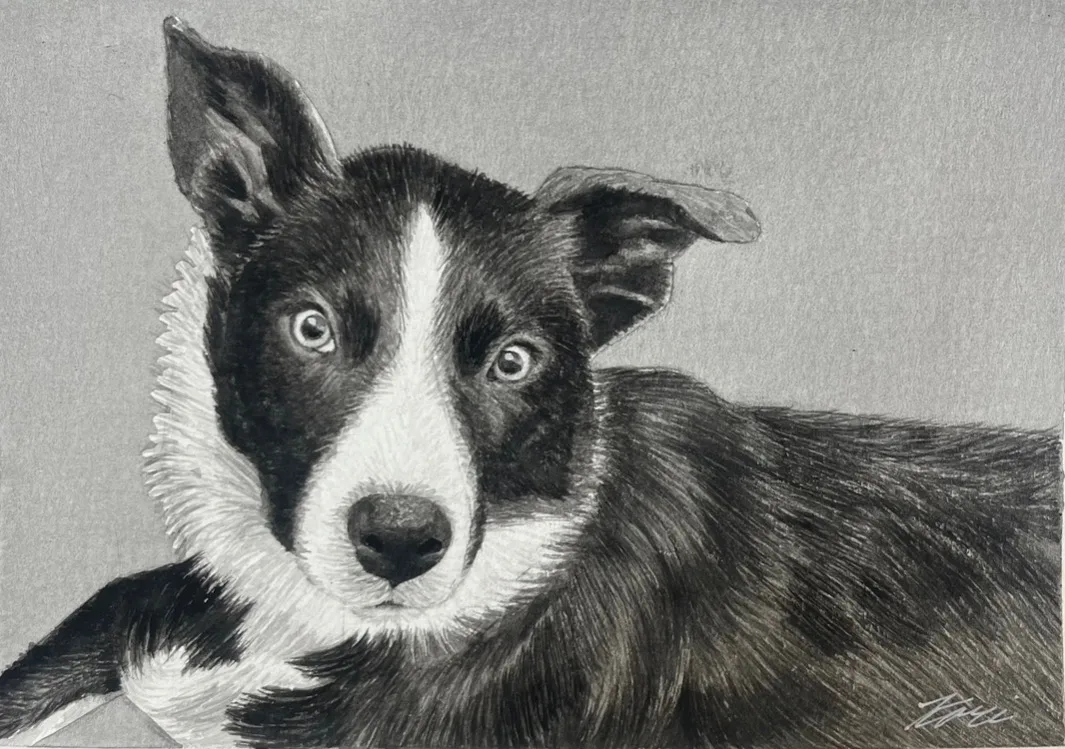 Animal portrait by Kari Koleva