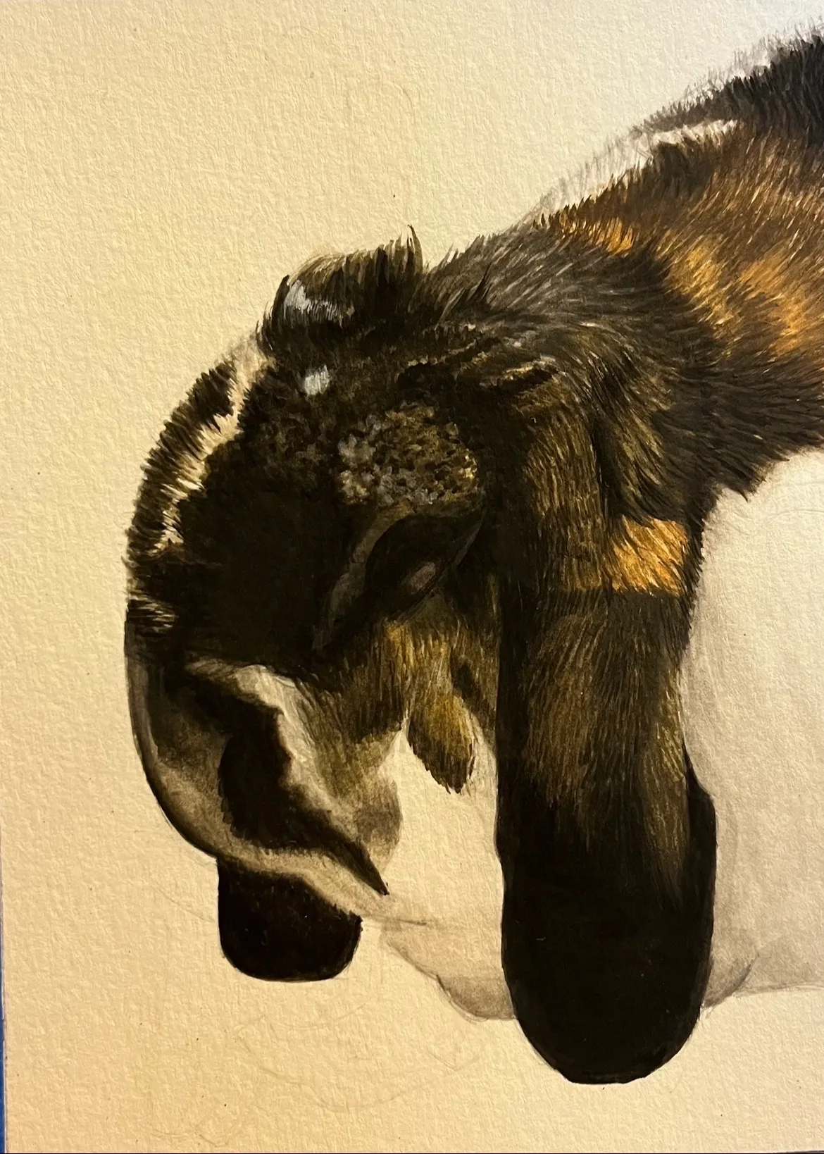 Animal portrait by Kari Koleva