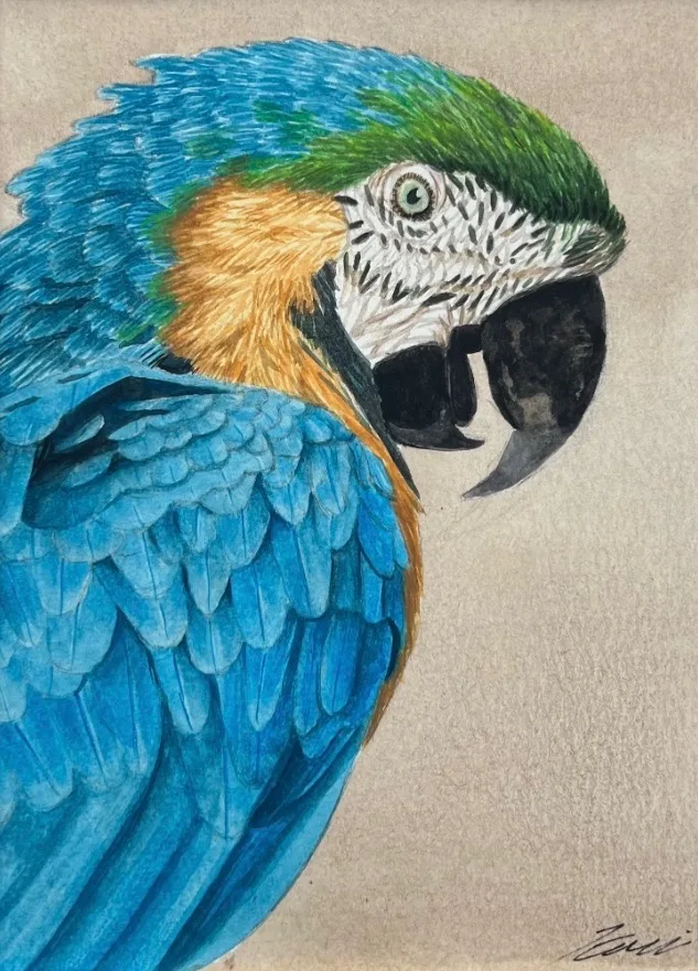 Animal portrait by Kari Koleva