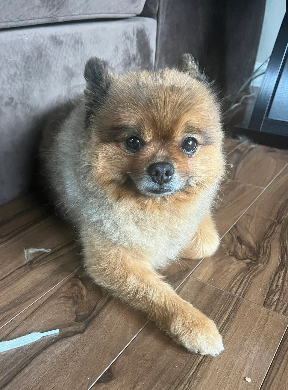 Example: overhead angle