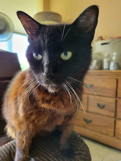 Example: dark, cluttered photo