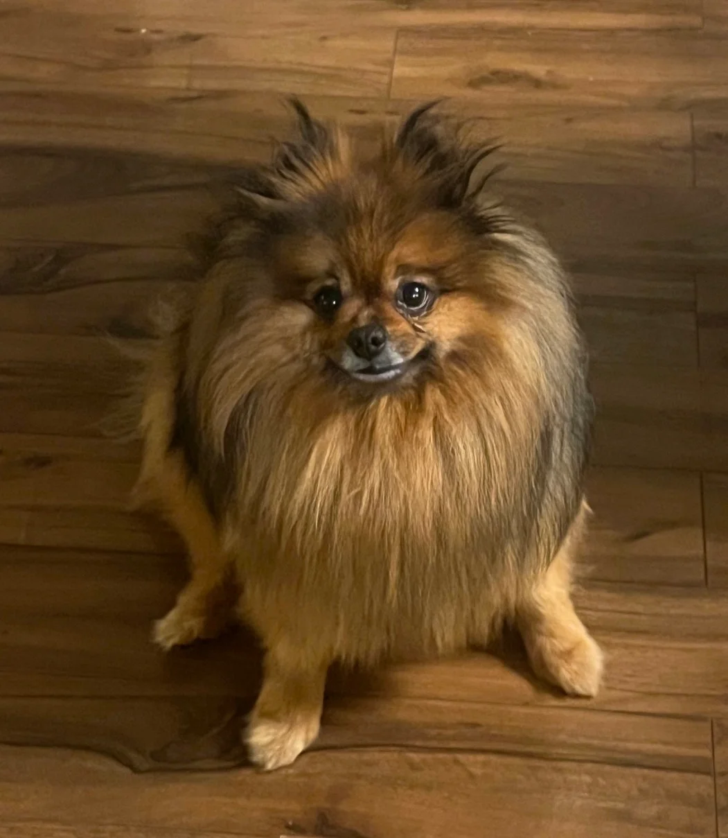 Example: poor lighting and softness